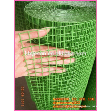 Anping India market popular 12mm green coating welded wire mesh